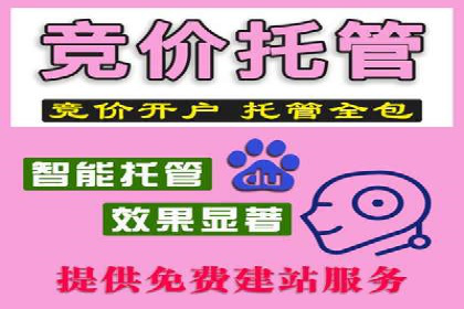 短视频平台的SEM推广实践与效果